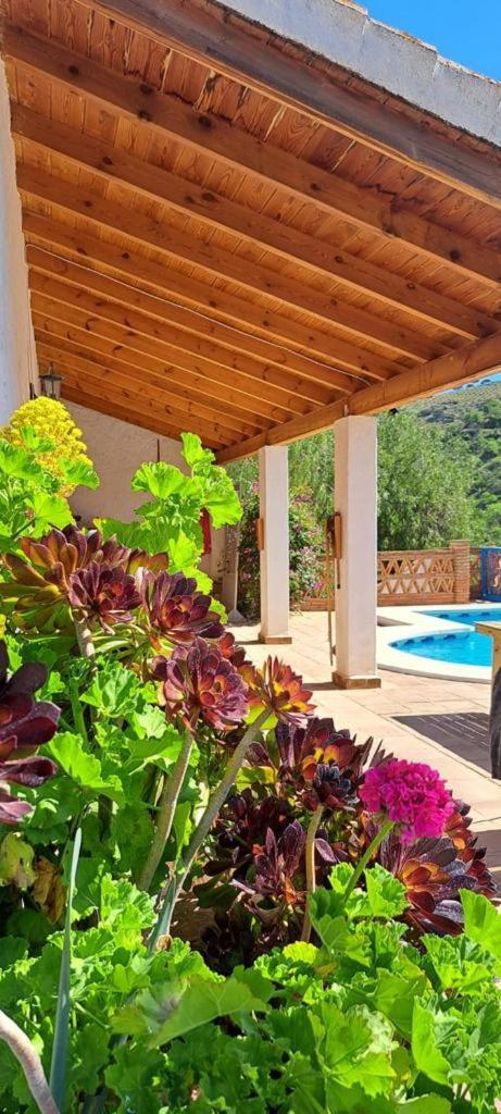 Appartement Peace And Tranquility At Montana Retreat à Alora Chambre photo